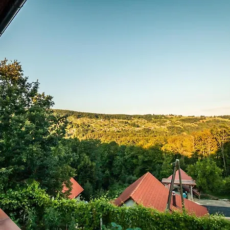 Vineyard Cottage Na Hribu Dvor Exterior photo