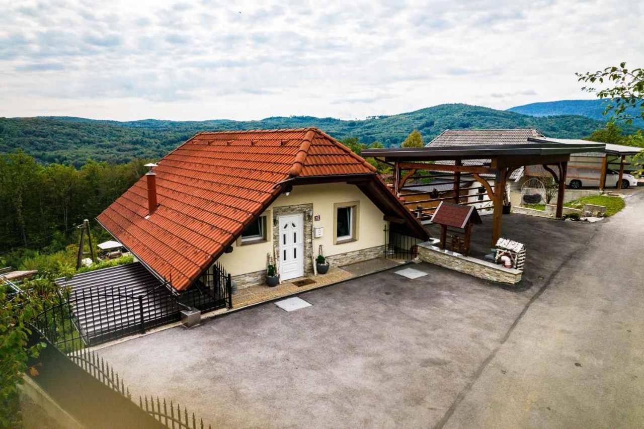 Vineyard Na Hribu