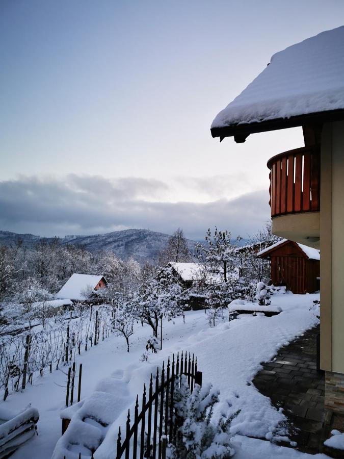 Vineyard Na Hribu Ferienhaus