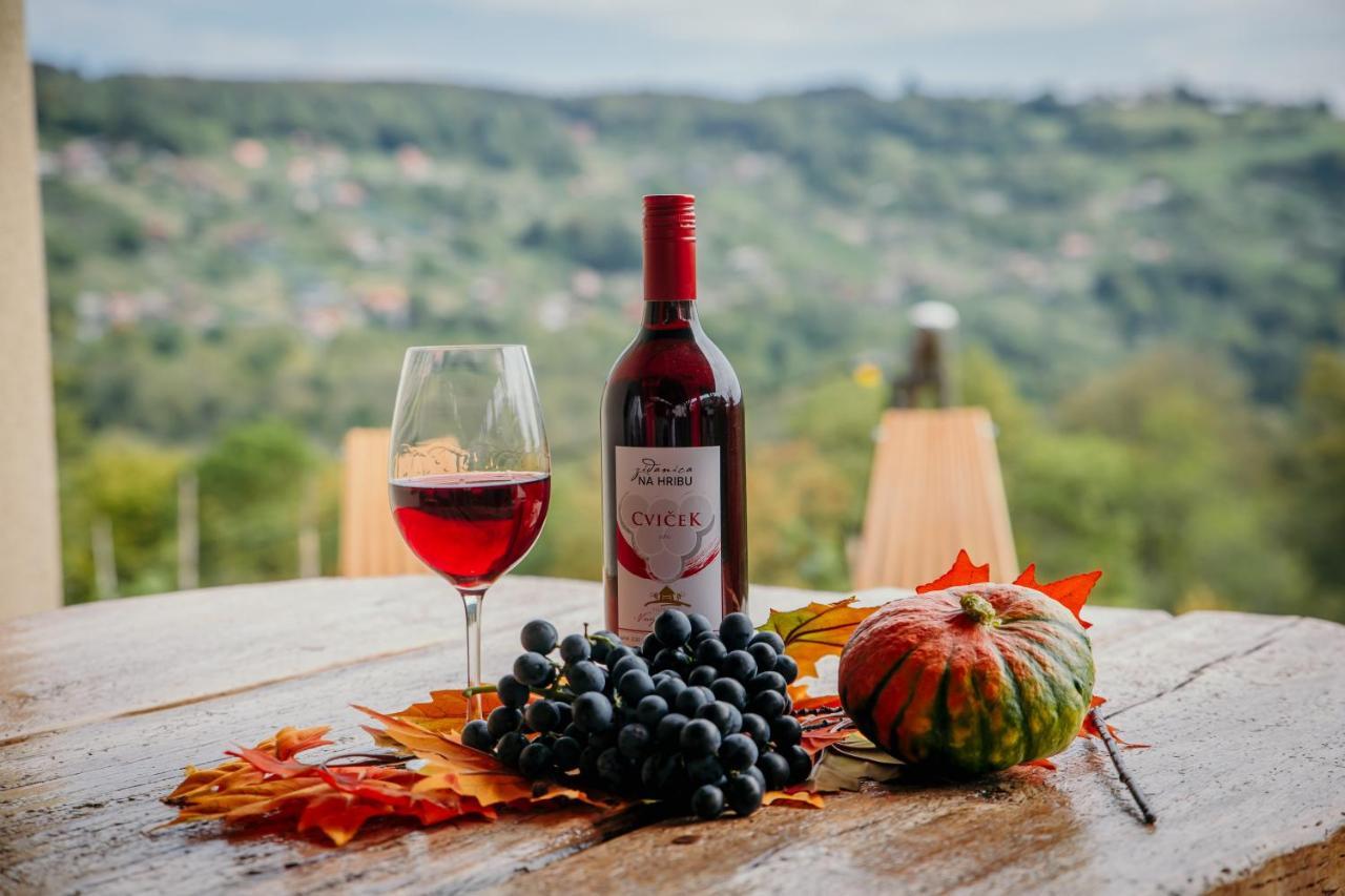 Vineyard Na Hribu * Dvor