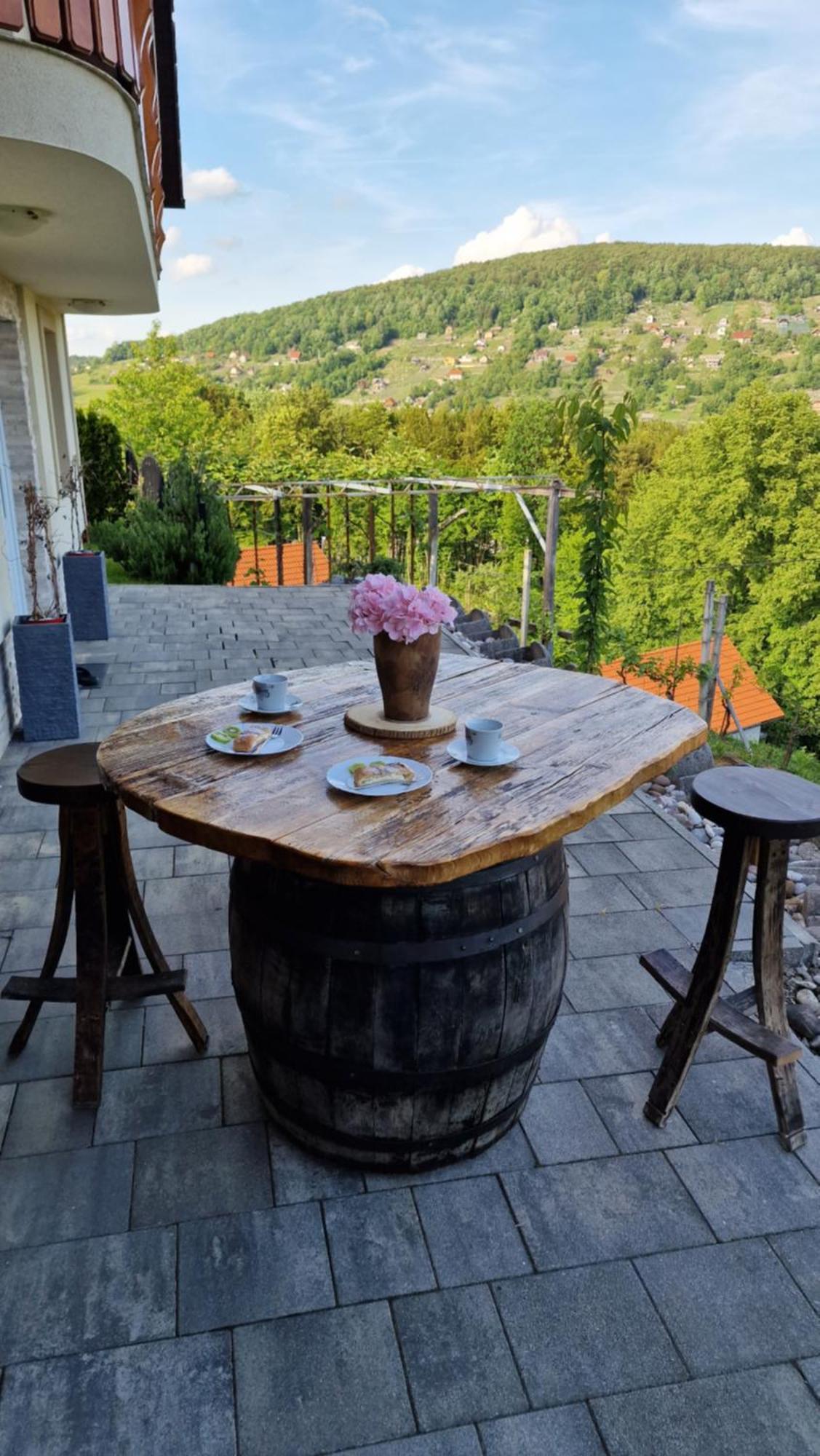 Vineyard Na Hribu Dvor